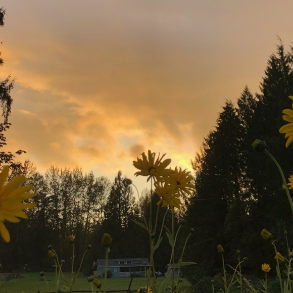 Etam Light Blue Zip Up Fleece Jacket Plus Size 14. Warm. Scarf not included. - Picture 4 of 8